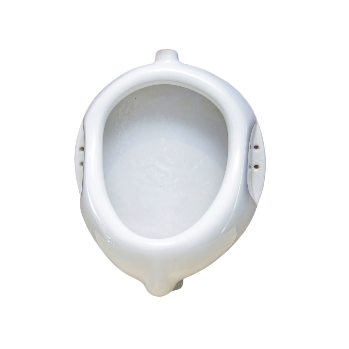 Urinal Bowl