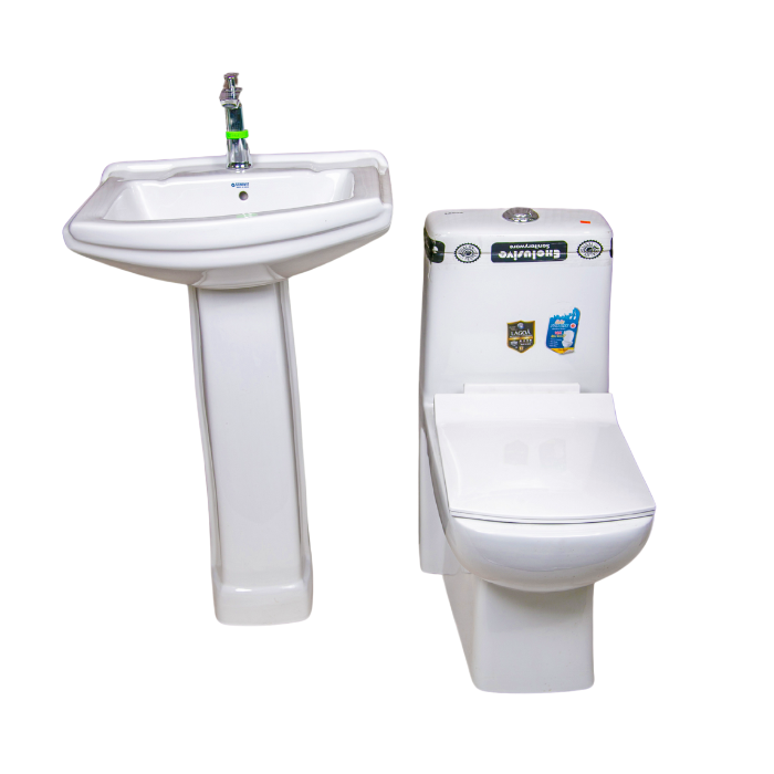 1 piece toilet (indian) sophia basin and pedestal.